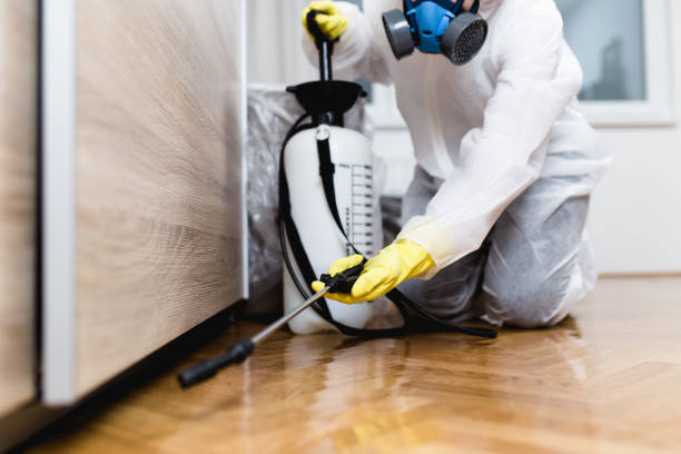 Best Local Pest Control Services  in Glandorf, OH