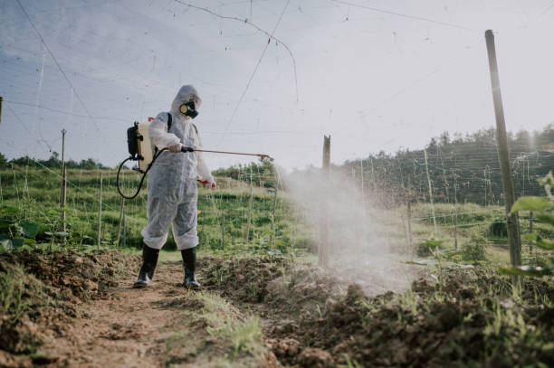 Pest Control Cost in Glandorf, OH