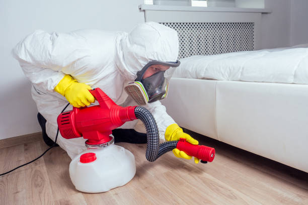 Trusted Glandorf, OH Pest Control Experts