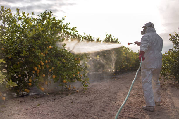 Best Pest Removal Services  in Glandorf, OH