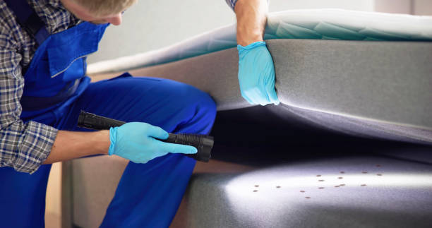 Best Affordable Pest Control Services  in Glandorf, OH