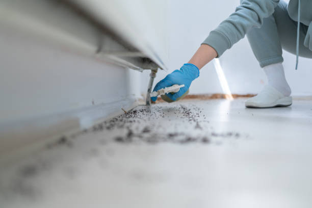 Flea Control Services in Glandorf, OH