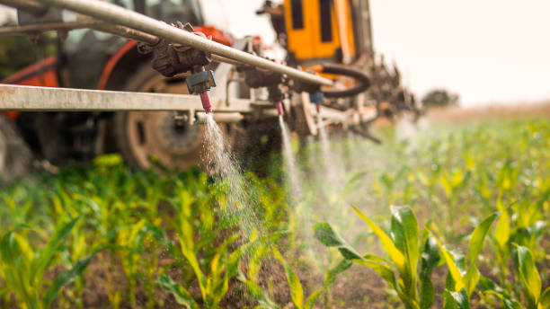 Best Pest Removal Services  in Glandorf, OH